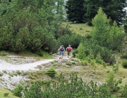 Freilichtbühne Seeben Alm – Almvieh und Wanderer begegnen sich Aug‘ in Aug‘