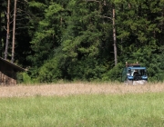 Weiler See erstrahlt in neuem Glanz