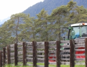 Zäunen am Kälberriegl in Obermieming – Zum Schutz des Weideviehs am Vorberg der Feldernalm