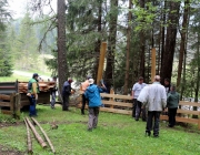 Zäunen auf der Biberwier-Alm