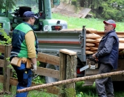 Zäunen auf der Biberwier-Alm