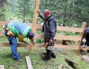 Zäunen auf der Biberwier-Alm