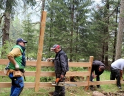 Zäunen auf der Biberwier-Alm