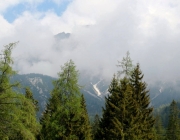 Zäunen auf der Biberwier-Alm