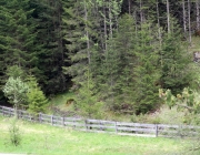 Zäunen auf der Biberwier-Alm