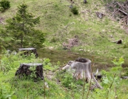 Zäunen auf der Biberwier-Alm