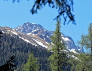 „Zäuner“ der Marienbergalpe in Aktion – Winterschäden der Biberwier-Alm werden ausgebessert