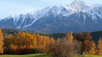 Im Herbst leuchten die Mieminger Lärchen goldfarben, Foto: Knut Kuckel